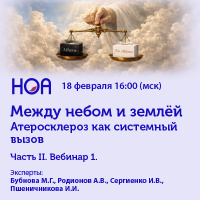 Между небом и землей Часть II. Вебинар 1