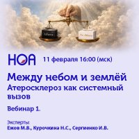 Между небом и землей Вебинар 1