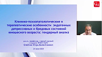 Клинико-психопатологические и терапевтические особенности  эндогенных депрессивных и бредовых состояний юношеского возраста: гендерный анализ